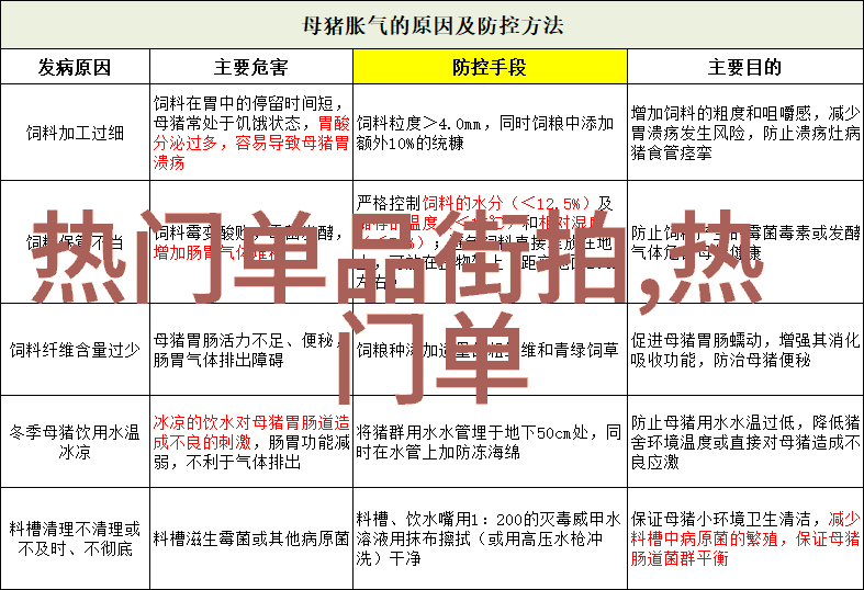 夏日装饰必备品帽子玩转时尚圈